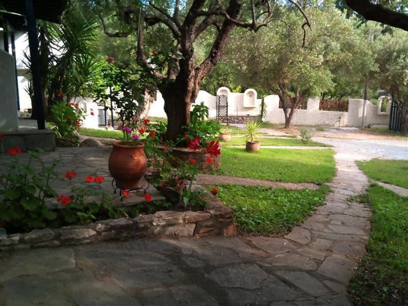 Olive House Apartment Elia Nikitis Exterior photo